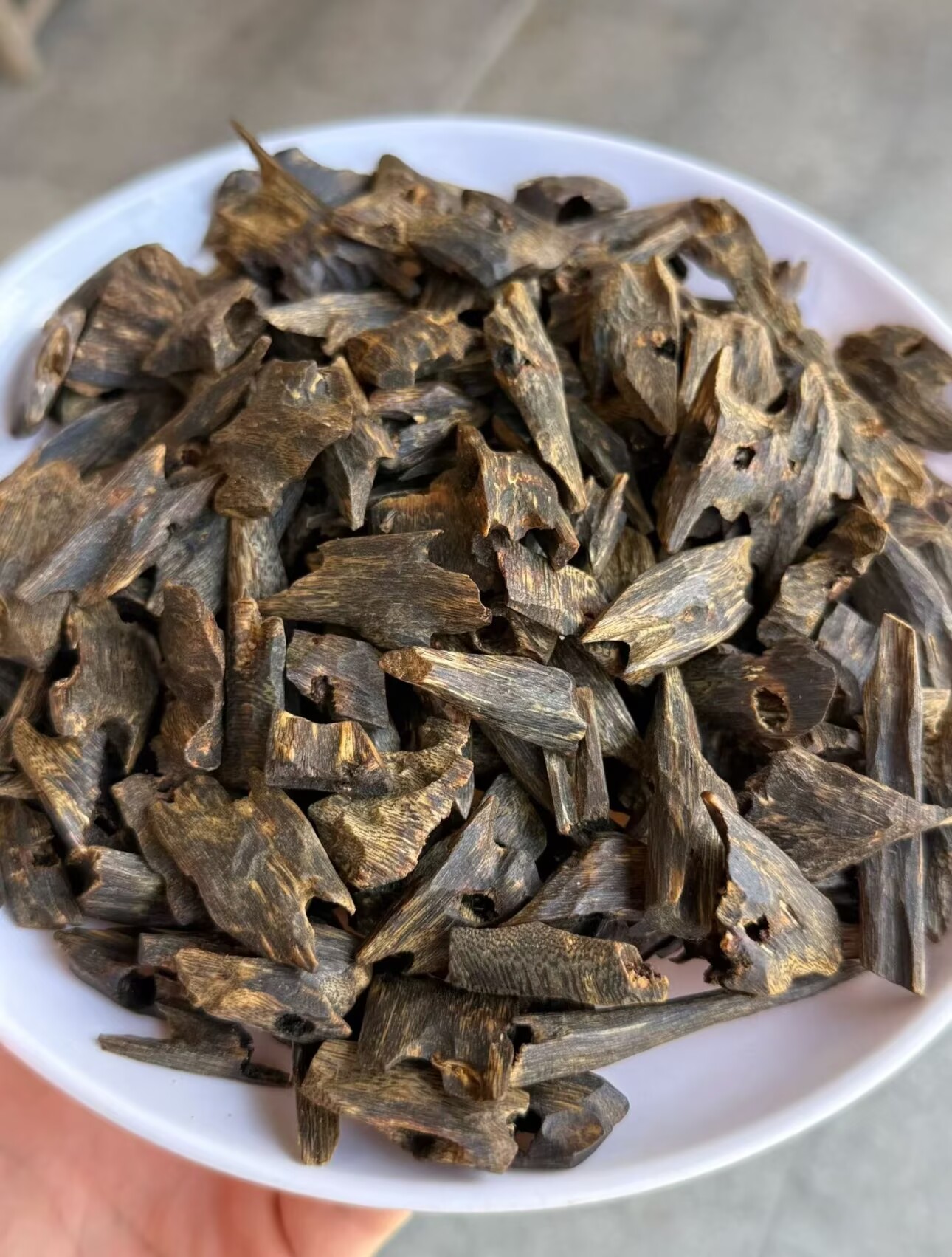 عود غني بالراتنج